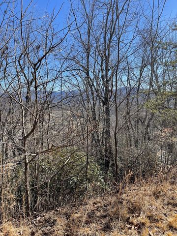 60 & 61J Mountain Harbour, Hayesville, NC 28904