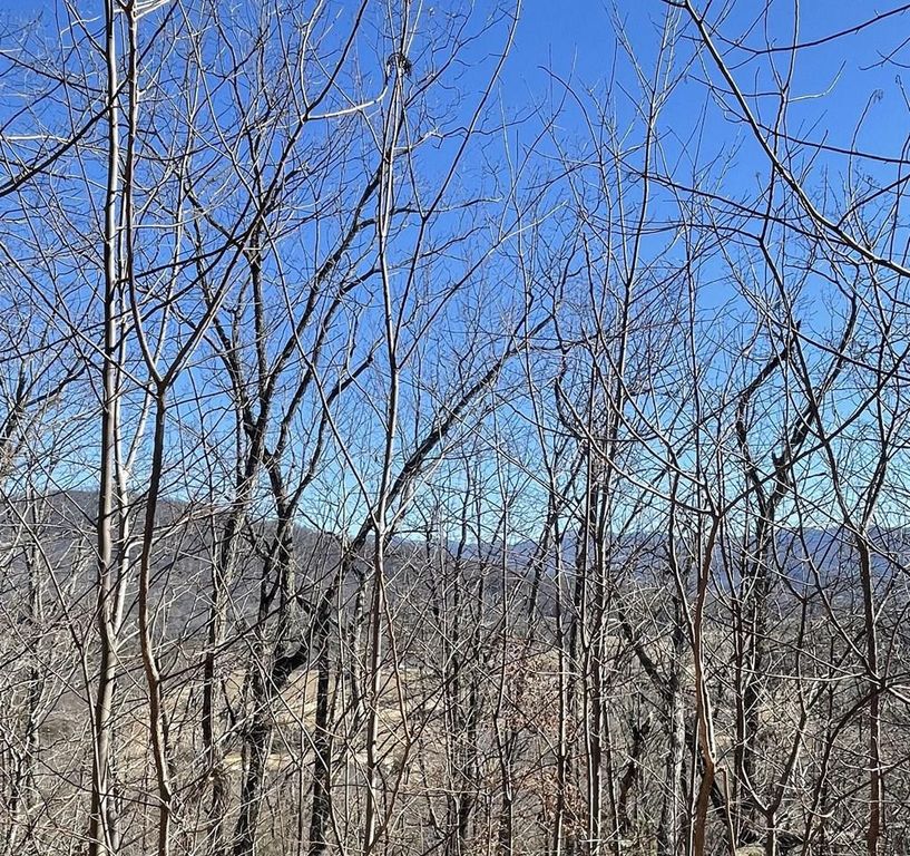 60 & 61J Mountain Harbour, Hayesville, NC 28904