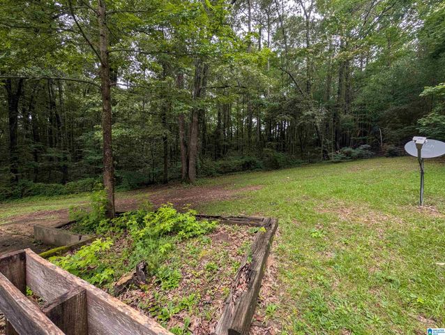 3215 PINEY WOODS ROAD, Vincent, AL 35178