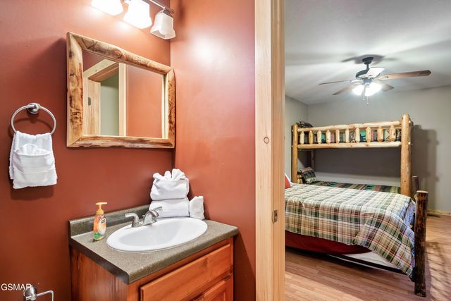 318 Alpine Mountain Way, Pigeon Forge, TN 37863