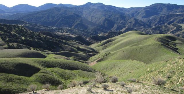 19825 New Idria Road, Paicines, CA 95043