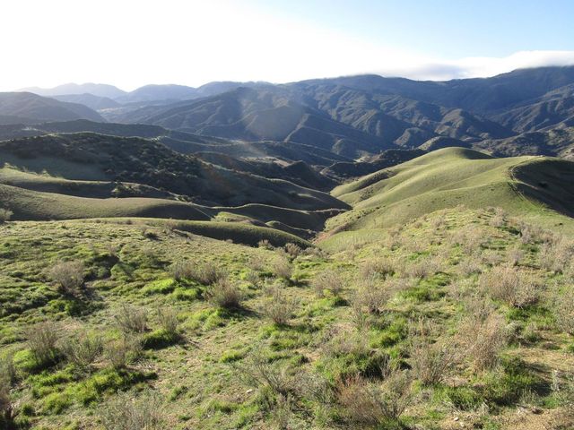 19825 New Idria Road, Paicines, CA 95043