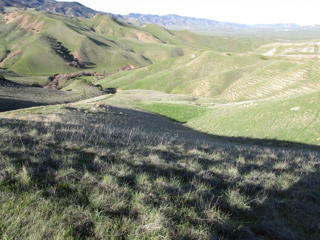 19825 New Idria Road, Paicines, CA 95043