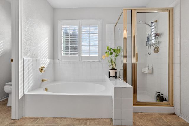 10010 Snowy Owl Way, Auburn, CA 95603