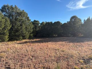 139 Holli Loop, Edgewood, NM 87015