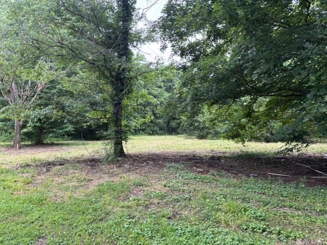 502 Twomey Rd, Centerville, TN 37033
