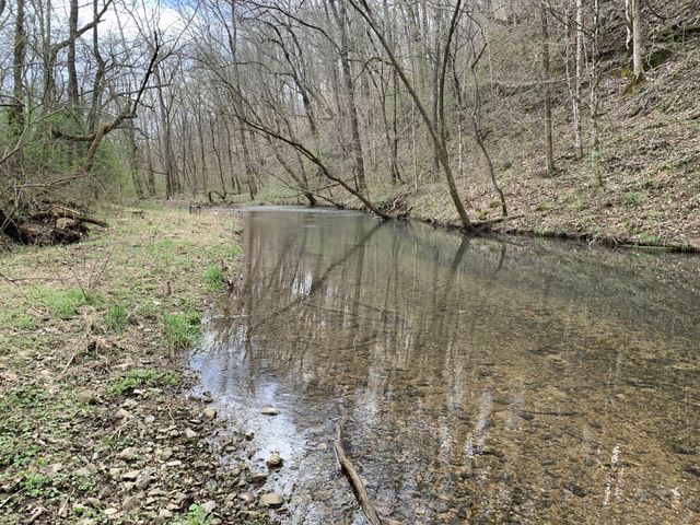 502 Twomey Rd, Centerville, TN 37033