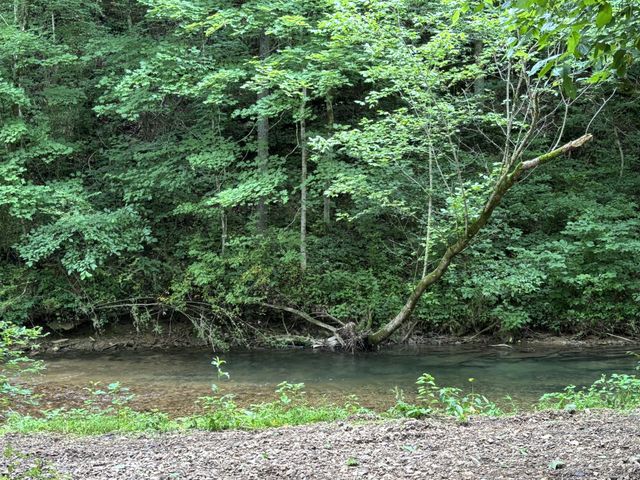 502 Twomey Rd, Centerville, TN 37033