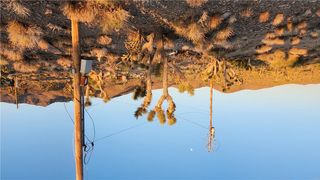 18209 N Silver Lode Drive, Dolan Springs, AZ 86441