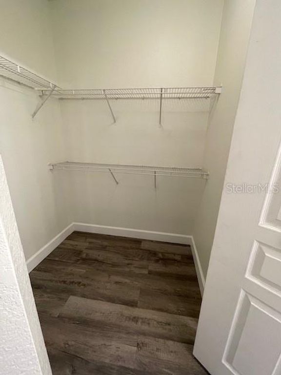 Image 8 of property listing at 5125 PALM SPRINGS BOULEVARD 11203, Tampa, FL 33647