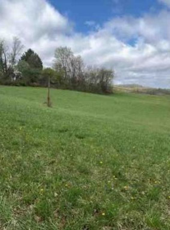591 Tank Farm Rd, Independence, PA 15001