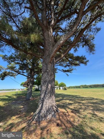 6101 BETHLEHEM RD, Preston, MD 21655
