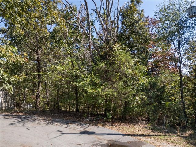 Lots 6 & 7 Holborn Lane, Bella Vista, AR 72714