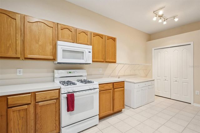 19432 HASKELL PLACE, Land O Lakes, FL 34638