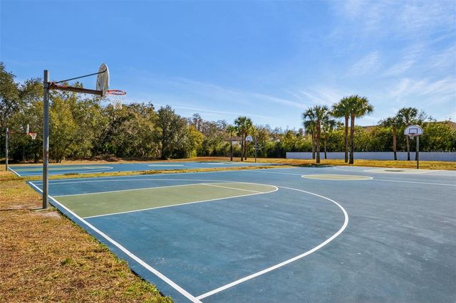 19432 HASKELL PLACE, Land O Lakes, FL 34638