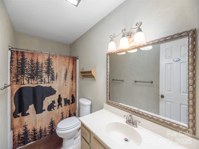 1392 Mount Chalet Road, Canton, NC 28716