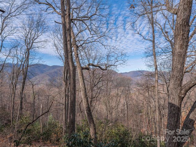 1392 Mount Chalet Road, Canton, NC 28716