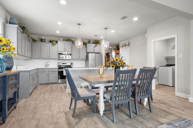 146 Hawksbill Lane, Rhome, TX 76078
