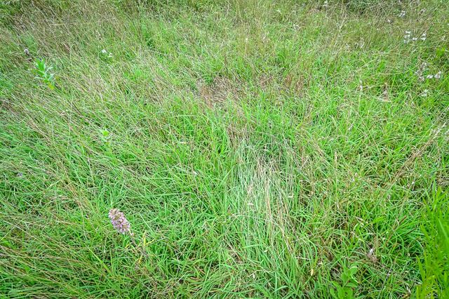 000 County Road 447, Waelder, TX 78959