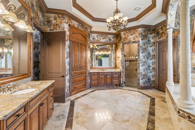 13250 BELLARIA CIRCLE, Windermere, FL 34786