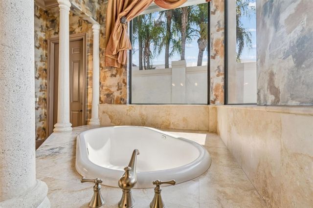 13250 BELLARIA CIRCLE, Windermere, FL 34786