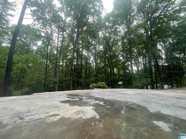 22524 ROSSER LANE, Mccalla, AL 35111