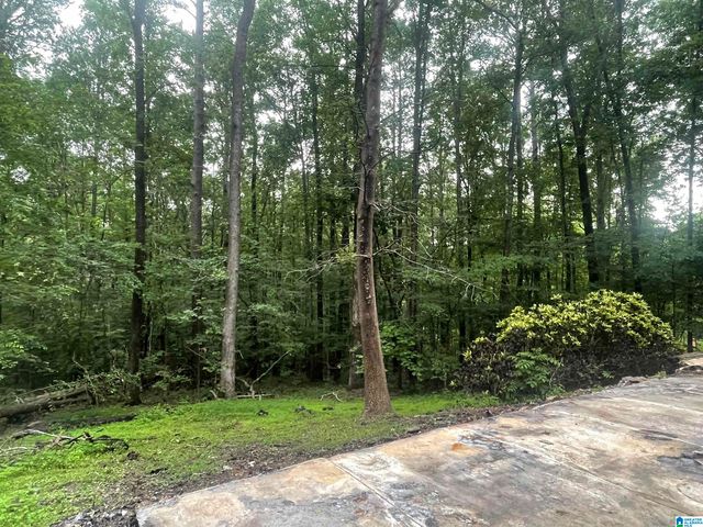 22524 ROSSER LANE, Mccalla, AL 35111