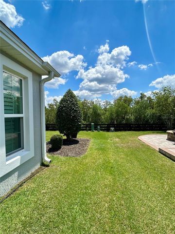 670 WOODBRIDGE WAY, The Villages, FL 32163