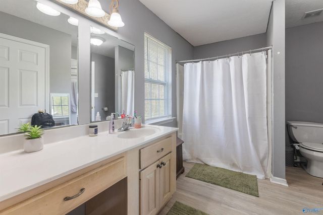 6205 Vista Trail, Southside, AL 35907