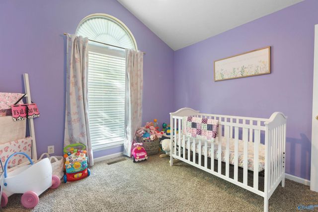 6205 Vista Trail, Southside, AL 35907