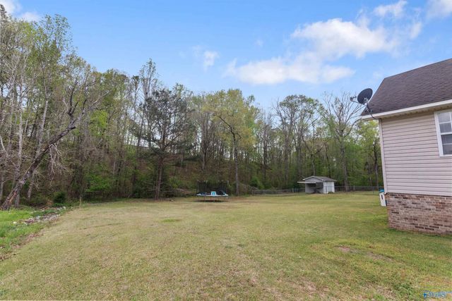6205 Vista Trail, Southside, AL 35907