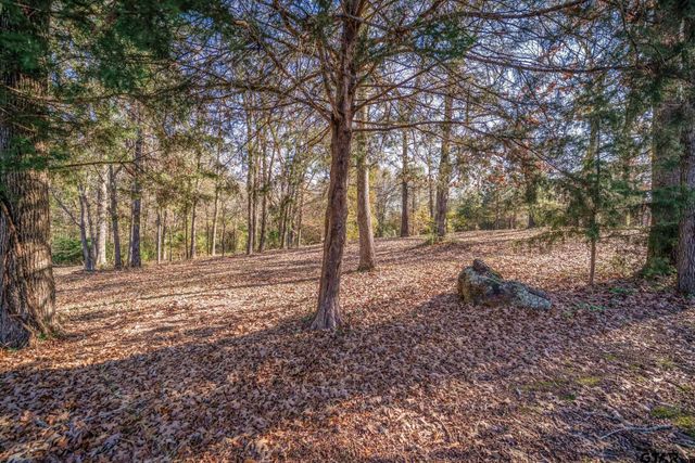 235 Widgeon Rd, Gilmer, TX 75645