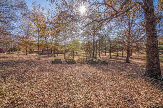 235 Widgeon Rd, Gilmer, TX 75645