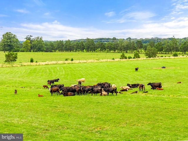 5474 WOODSIDE LN, Bealeton, VA 22712