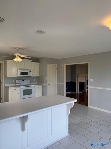 121 County Road 372, Trinity, AL 35673