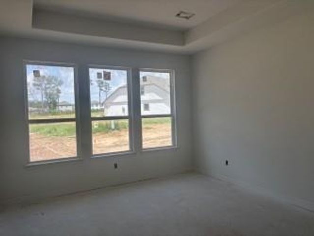 24342 Ponds Creek Court, Magnolia, TX 77355