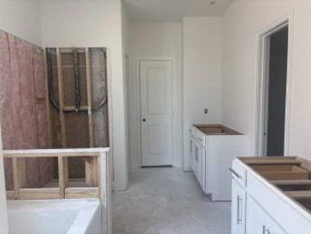 24342 Ponds Creek Court, Magnolia, TX 77355