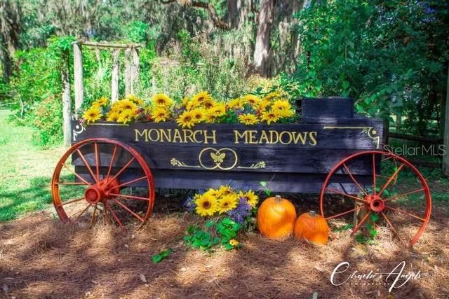 15300 LAKE IOLA ROAD, Dade City, FL 33523