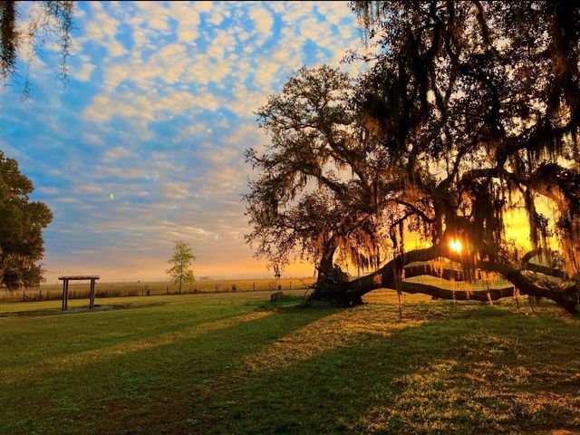 15300 LAKE IOLA ROAD, Dade City, FL 33523