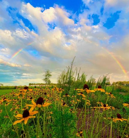 15300 LAKE IOLA ROAD, Dade City, FL 33523