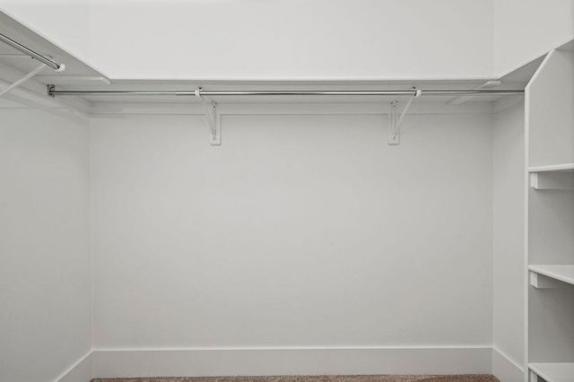 1243 Periwinkle Court, Fruita, CO 81521