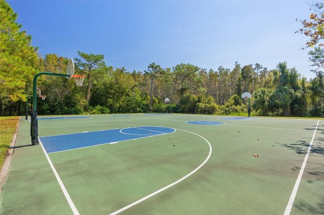 1145 SLEEPY OAK DRIVE, Wesley Chapel, FL 33543