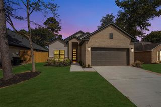 12118 Brightwood Drive, Montgomery, TX 77356