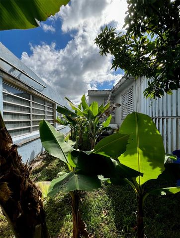 Calle 9 HERMANAS DAVILA P13, Bayamon, PR 00961