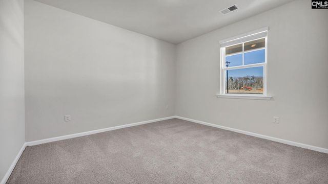 328 Babcock Way, Gilbert, SC 29054