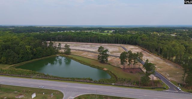 328 Babcock Way, Gilbert, SC 29054