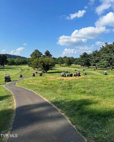 1602 Fairway Drive, Johnson City, TN 37601