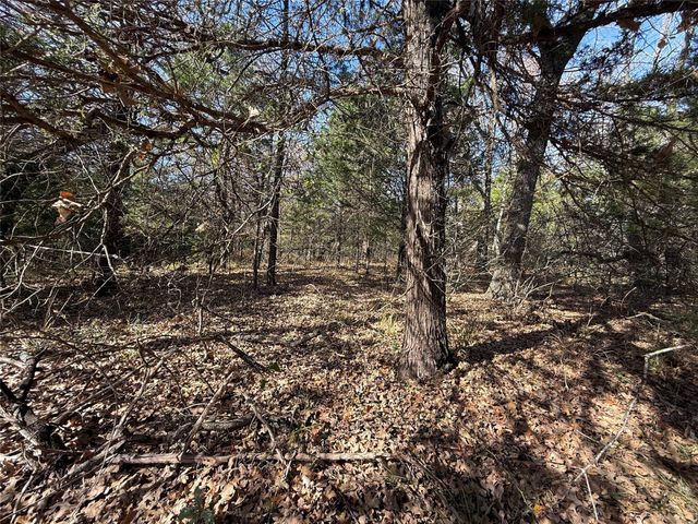 131 Lincoln Drive, Streetman, TX 75859