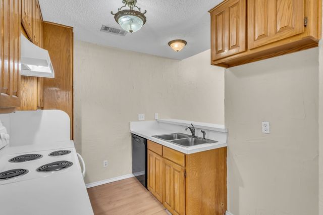 4224 Spring Meadow Lane, Flower Mound, TX 75028