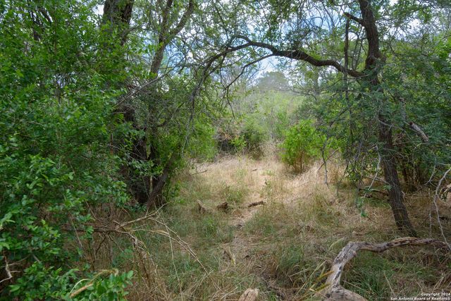 TBD SANTA CLARA RD, Seguin, TX 78155